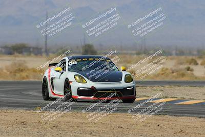 media/Mar-30-2025-Pro Autosports (Sun) [[34ff8f16e0]]/2-Blue-White Group/Main Race/
